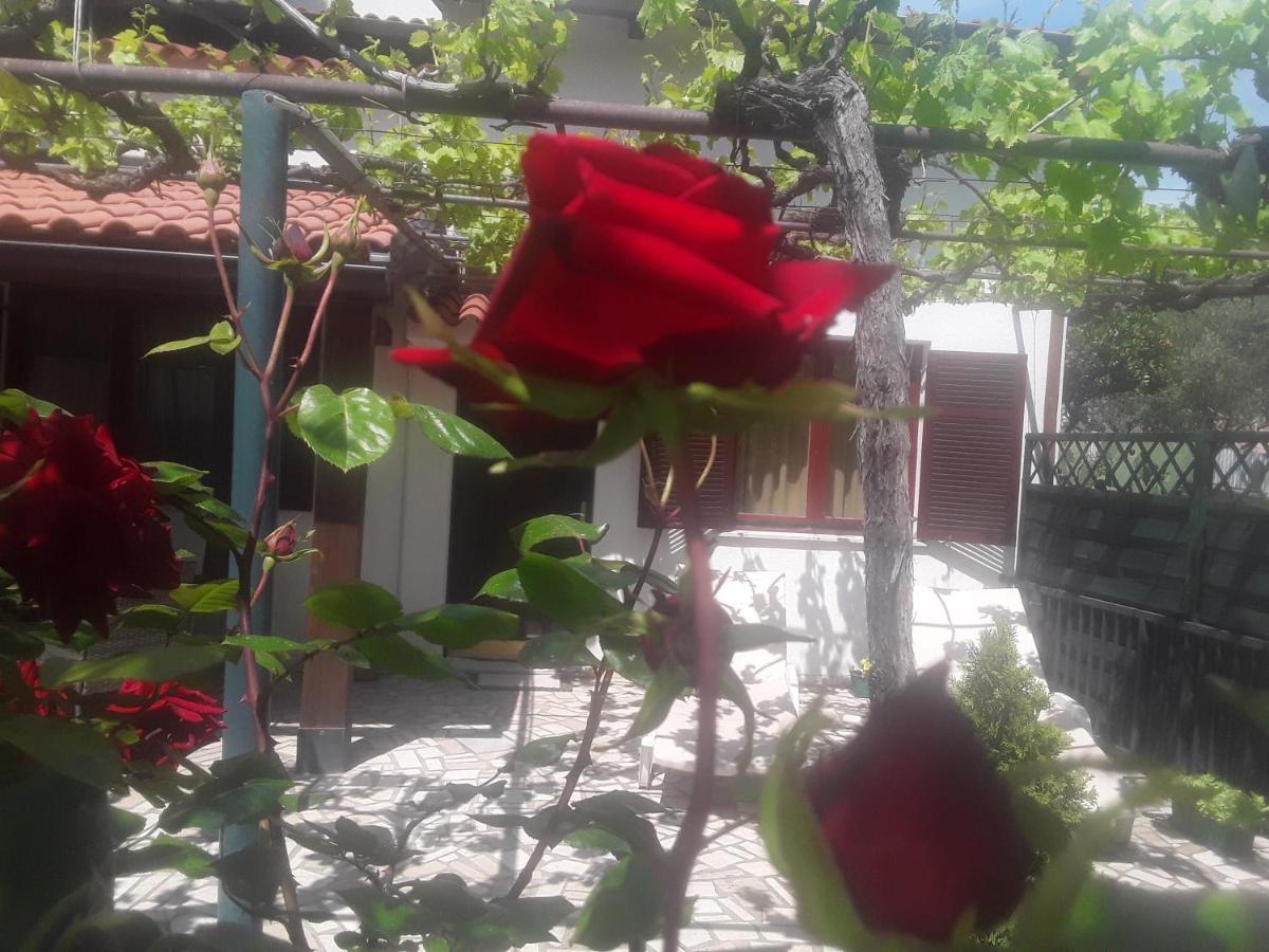 Liliana *