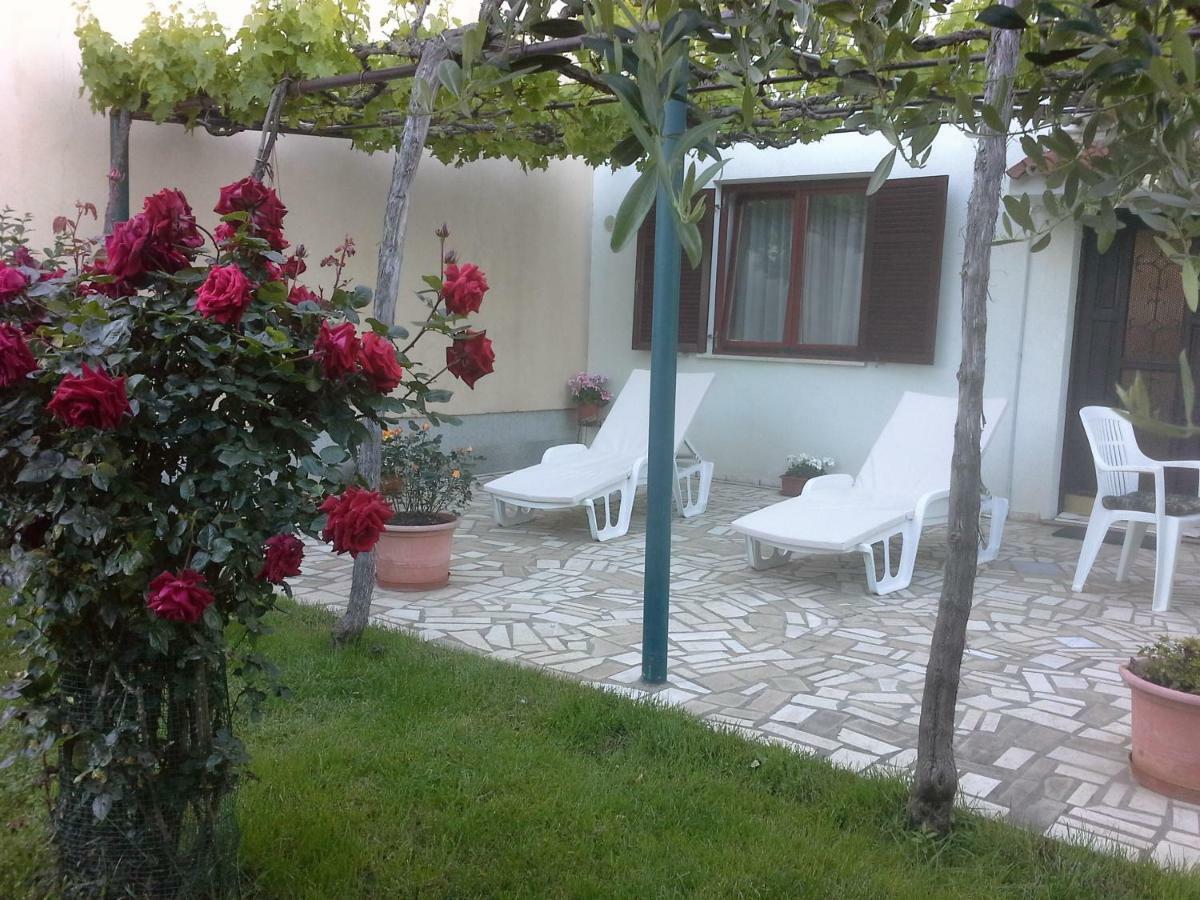 Liliana Apartment Pula